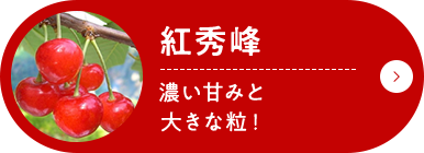 紅秀峰