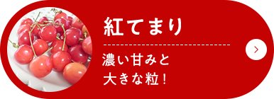 紅てまり