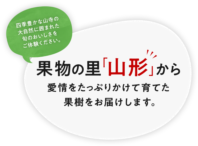 果物の里「山形」から愛情をたっぷりかけて育てた果樹をお届けします。四季豊かな山寺の大自然に囲まれた旬のおいしさをご体験ください。